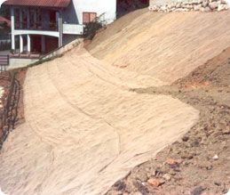 Esempio di preparazione del terreno
